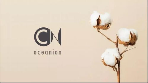 蘇州創博會?？?容易文創 ,帶來 這個時代最好的布包