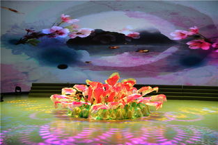 界首曲目亮相 新時代 新阜陽 文藝創作展演潁州站活動