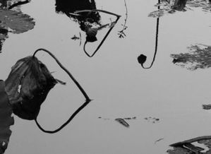 快速提升寫作能力的9個(gè)關(guān)鍵之處